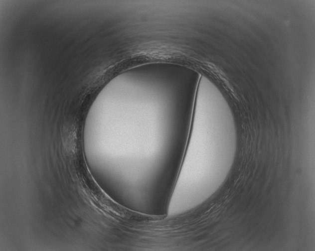 X0000084550596200702230937