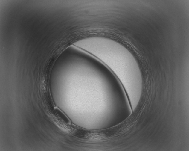 X0000084550597200702230937