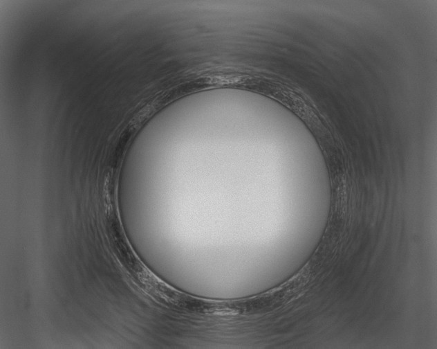 X0000084550598200702230937