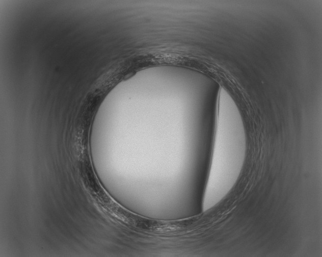 X0000084550599200702230937