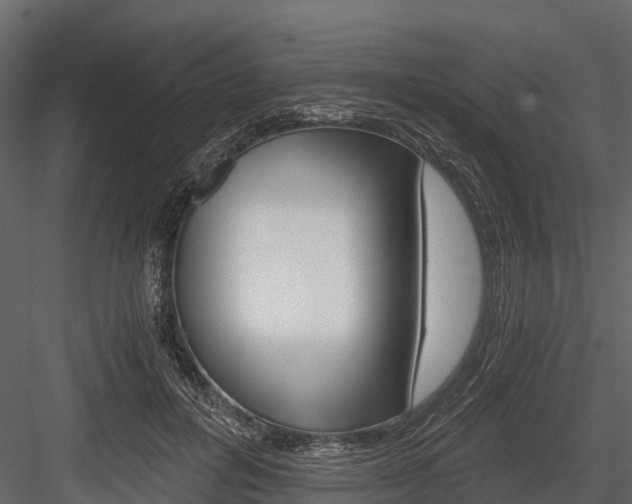 X0000084550600200702230937
