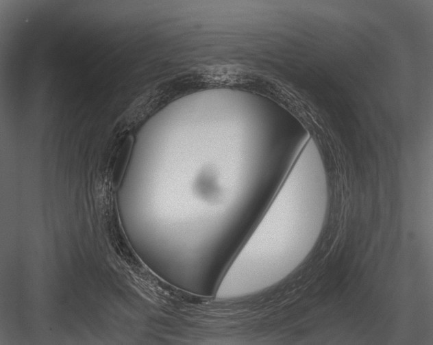 X0000084550601200702230937