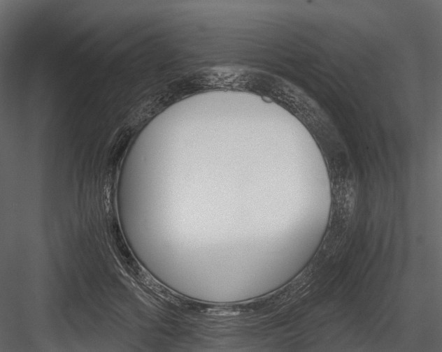 X0000084550602200702230937