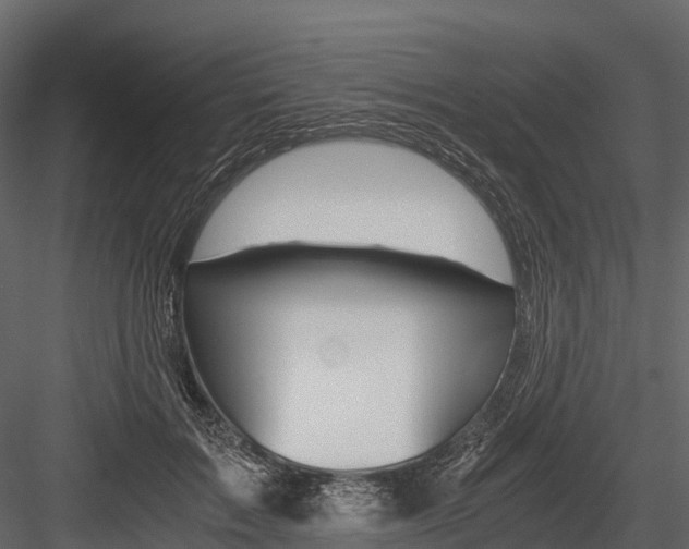 X0000084550603200702230937