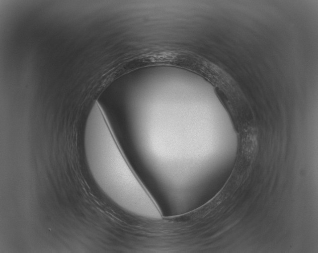 X0000084550604200702230937