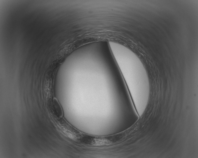 X0000084550605200702230937