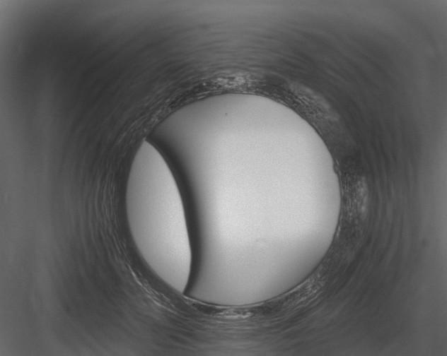 X0000084550606200702230937
