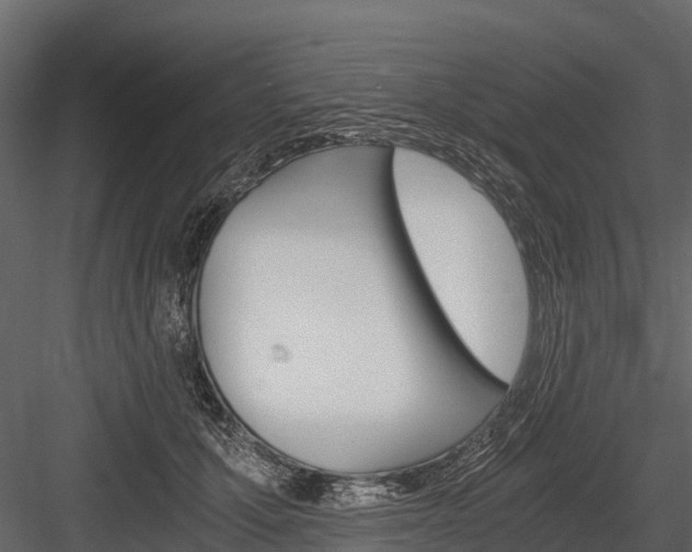 X0000084550607200702230937