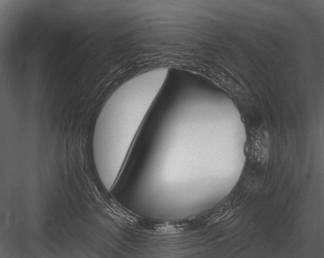 X0000084550616200702230937