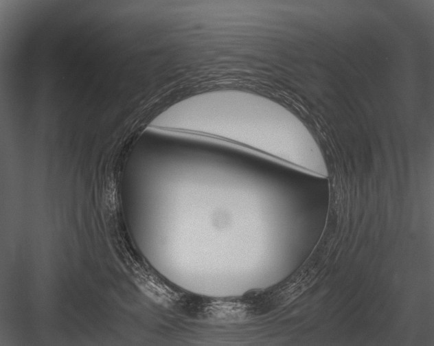 X0000084550617200702230937