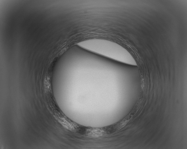 X0000084550621200702230937