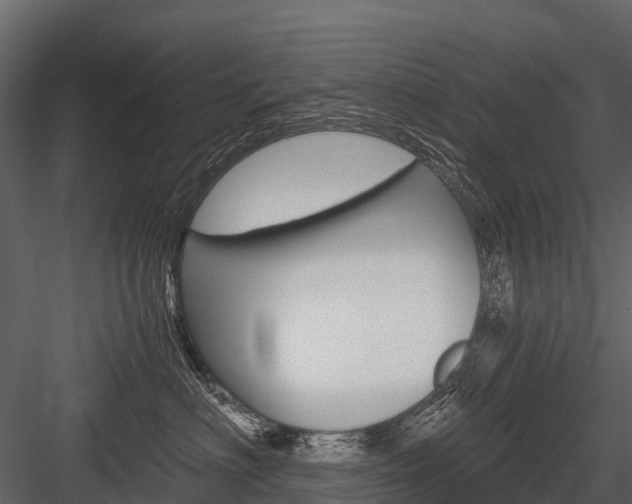 X0000084550622200702230936