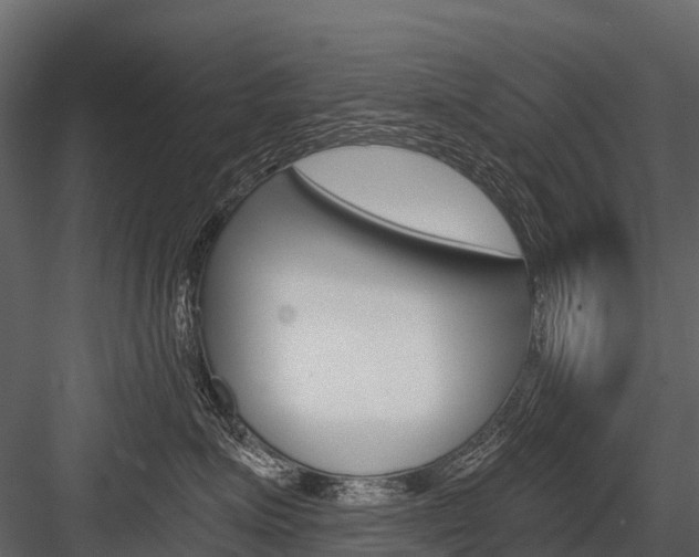 X0000084550623200702230936