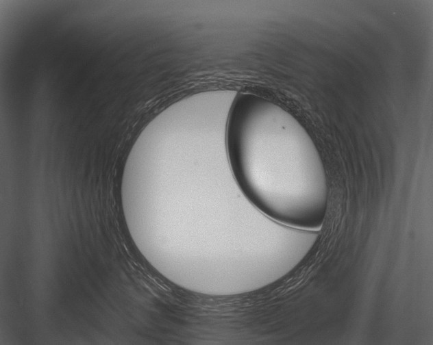 X0000084550624200702230936