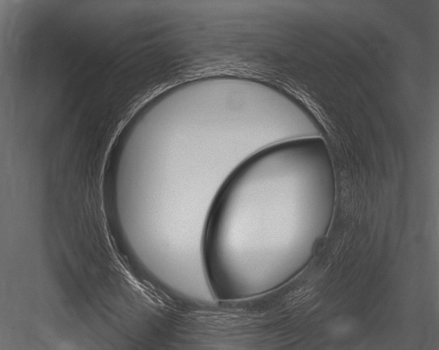 X0000084550626200702230936