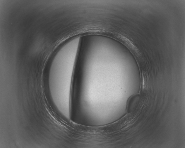 X0000084550627200702230936