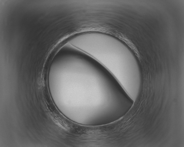 X0000084550628200702230936