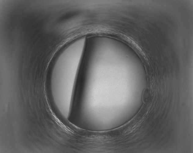 X0000084550629200702230936