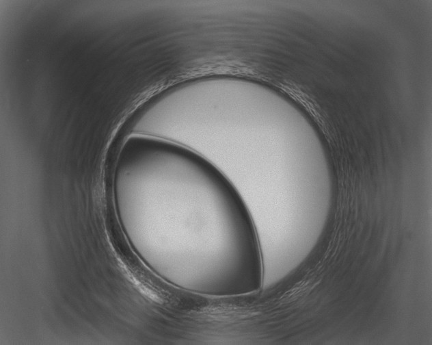 X0000084550630200702230936