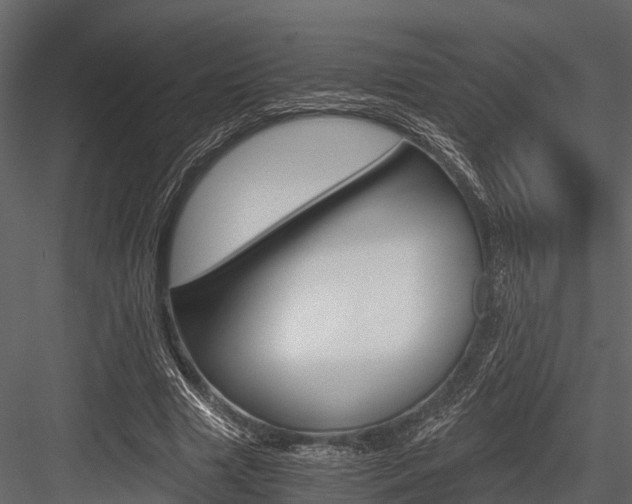 X0000084550633200702230936