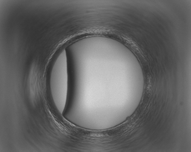 X0000084550636200702230936