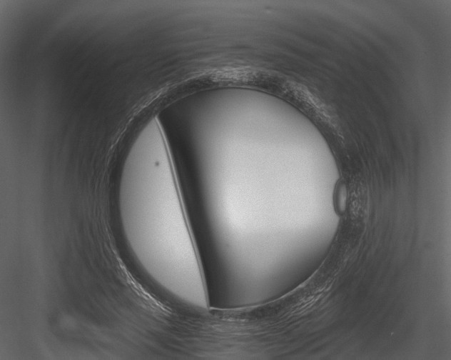 X0000084550637200702230936