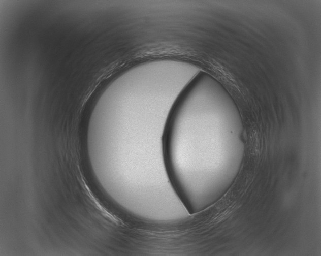 X0000084550638200702230936