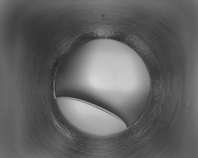 X0000084550639200702230936