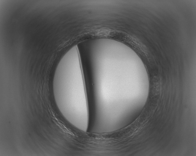 X0000084550641200702230936