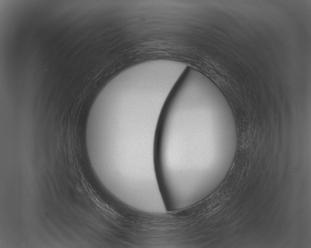 X0000084550646200702230936