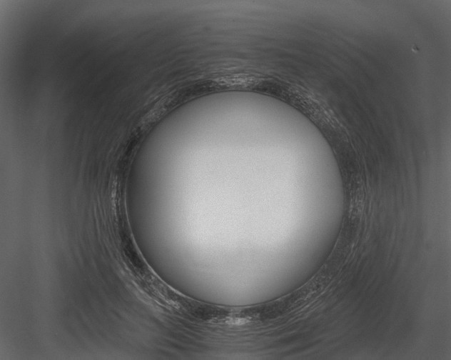 X0000084550647200702230936