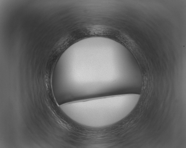 X0000084550648200702230936