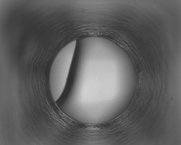 X0000084550650200702230936