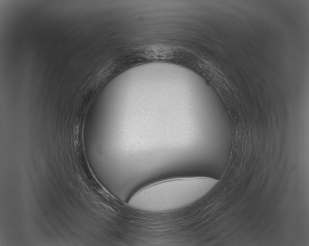 X0000084550652200702230936