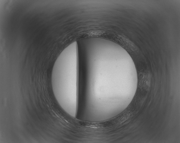 X0000084550655200702230936