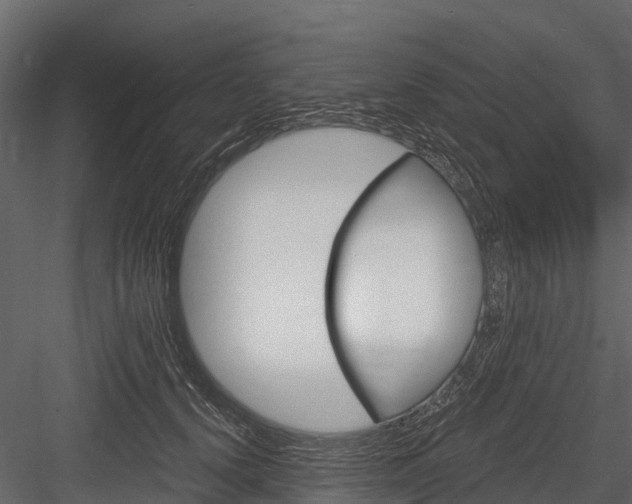 X0000084550656200702230936