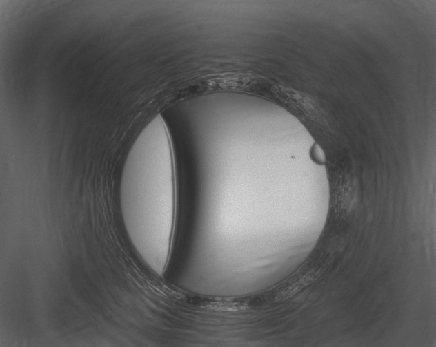 X0000084550661200702230936