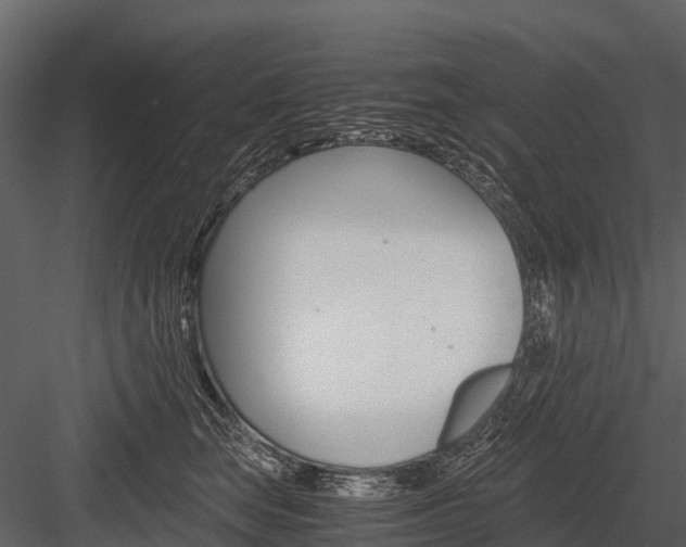 X0000084550663200702230936