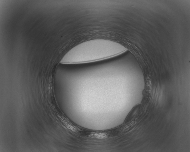 X0000084550665200702230936