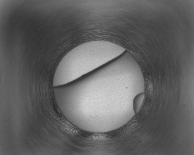X0000084550668200702230936