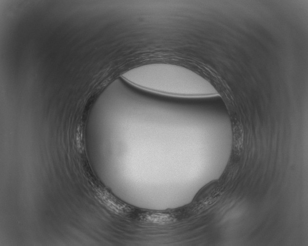 X0000084550669200702230936