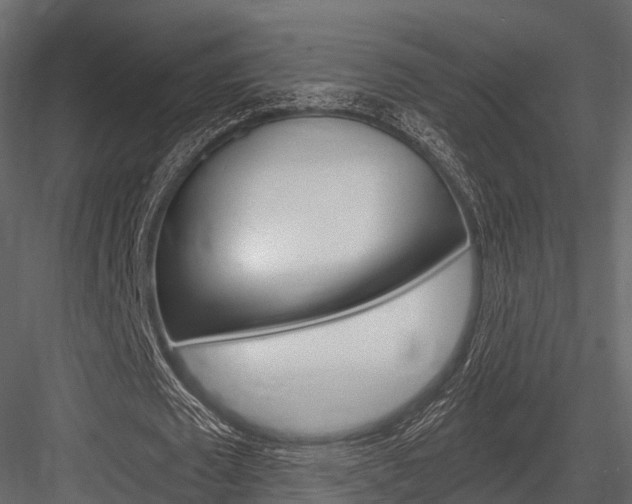 X0000084550673200702230936