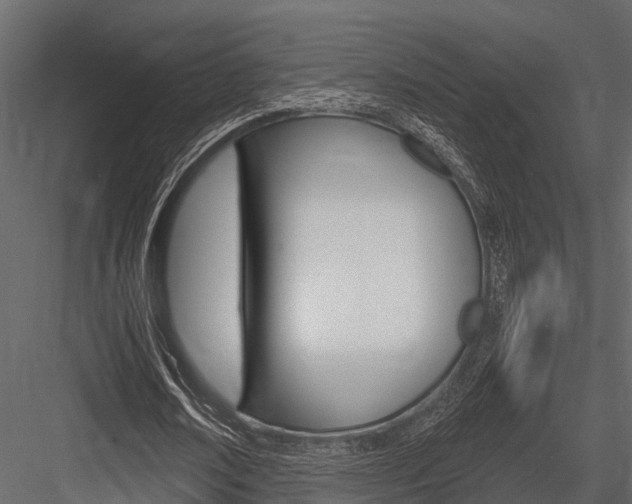 X0000084550674200702230936