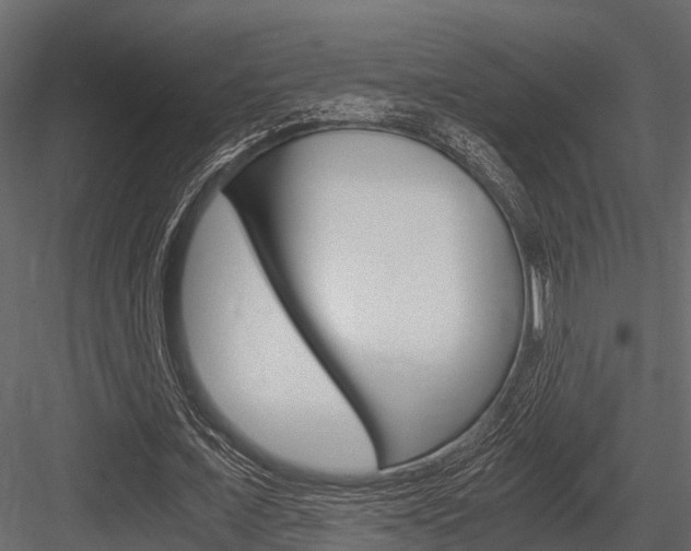 X0000084550675200702230936