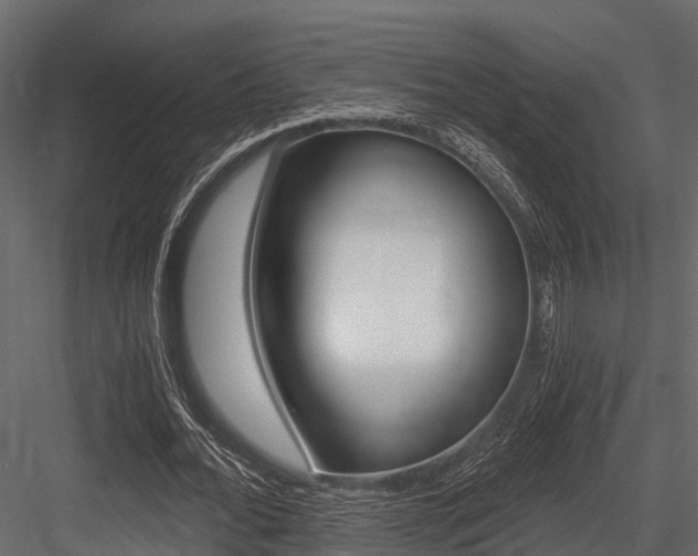 X0000084550676200702230936