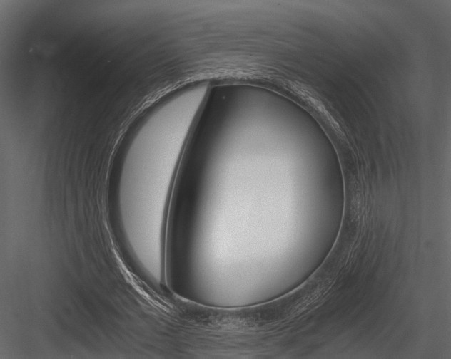X0000084550677200702230936