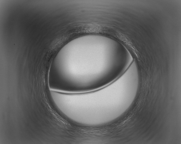 X0000084550681200702230935