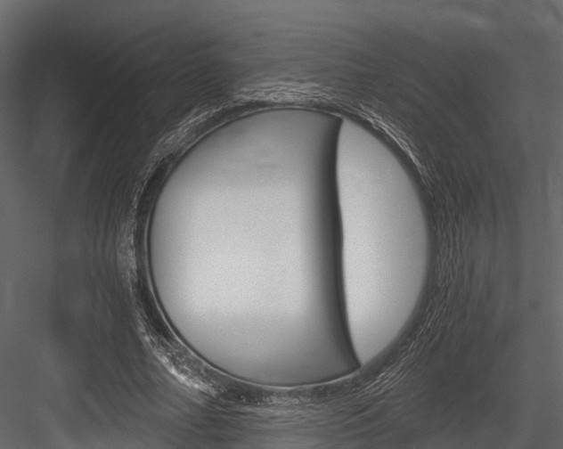 X0000084550682200702230935