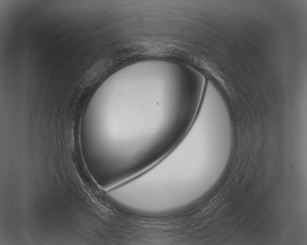 X0000084550685200702230935
