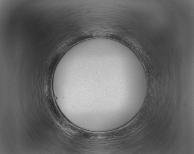 X0000084550687200702230935